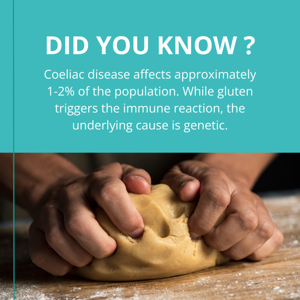 Coeliac disease affects approximately 1 2% of the population